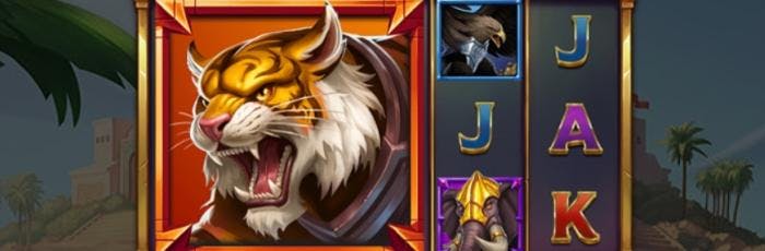 grupo de sinais blaze