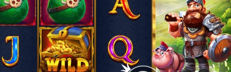 dual slot